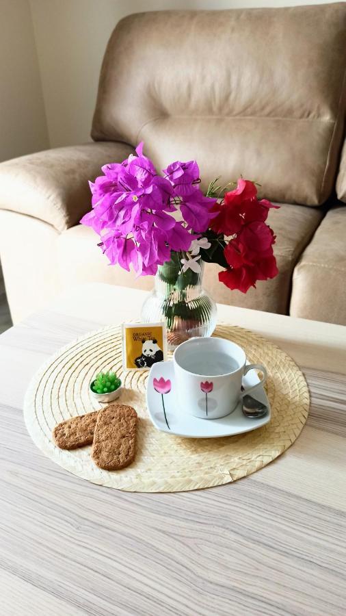 Botanic Suite Málaga Dış mekan fotoğraf
