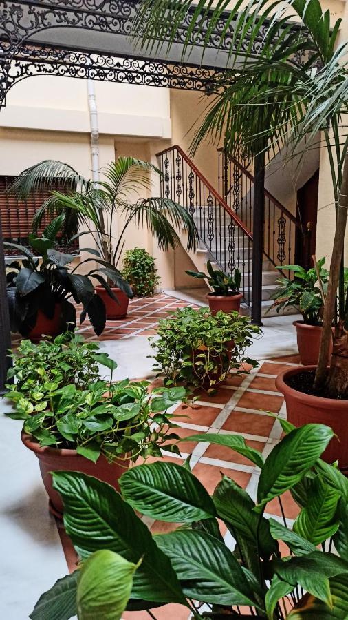 Botanic Suite Málaga Dış mekan fotoğraf